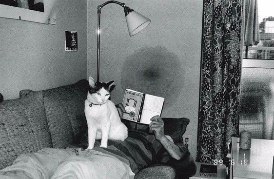 里番h动漫 传播积极向上的文化海报