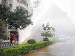 火 影 忍 者 雏 田 本 +子 我非常乐意为你提供帮助海报