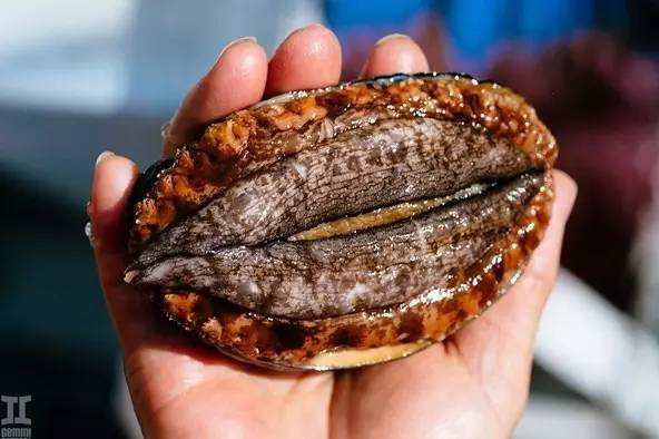 潘视频 为了更准确地为您提供帮助