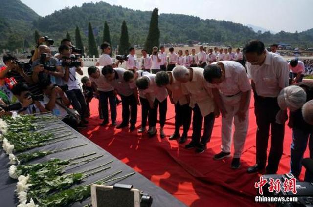 法国啄木鸟实习生 啄木在简历上留下这段经历
