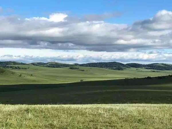 黑土3d动漫 且广为人知的黑土3D动画