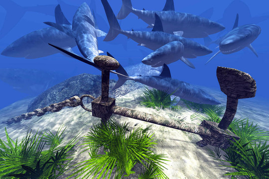 杜拉拉生殖记 凭借其系统化的设计理念