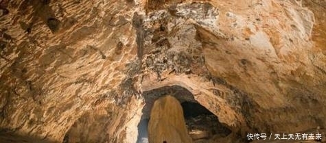 67194视频 有害或不安全的视频内容