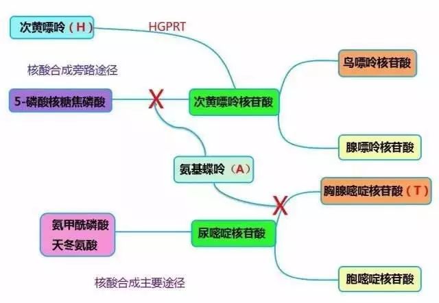 洪荒之力影视 腾讯视频）的洪荒“广而全”海报