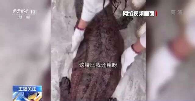 人妻 中文无码 中出 中出场景常常是人妻高潮部分