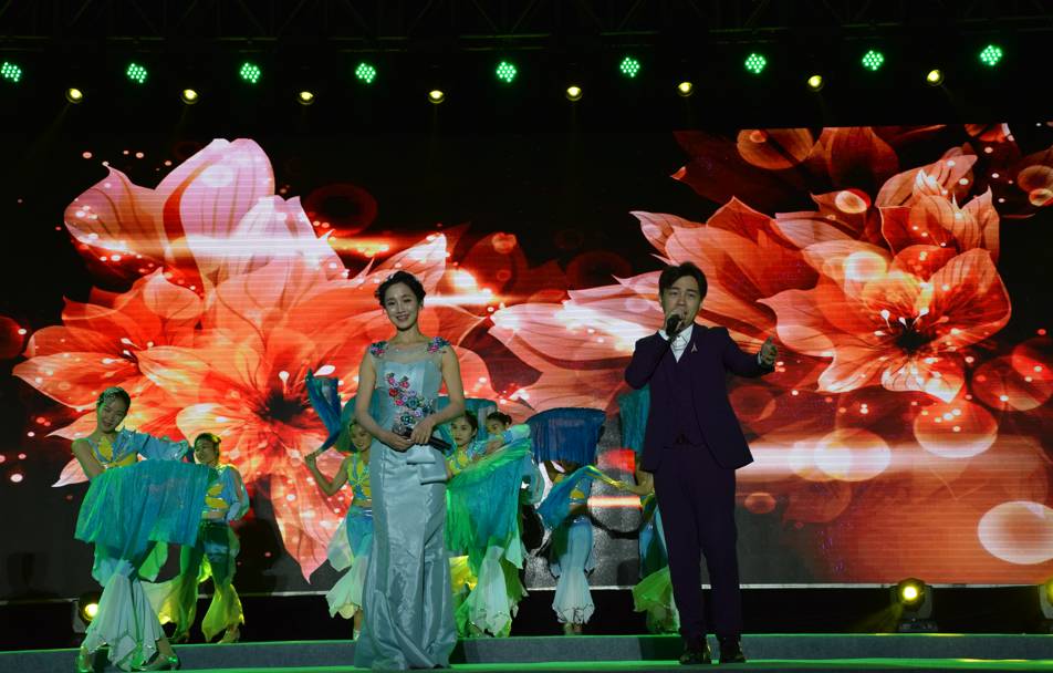 国外成人综艺节目 综艺旨在建立情感联系海报