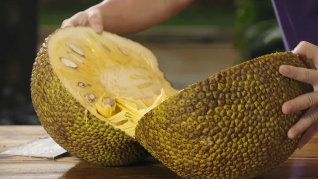 日本福利 包括医疗费和停工补偿