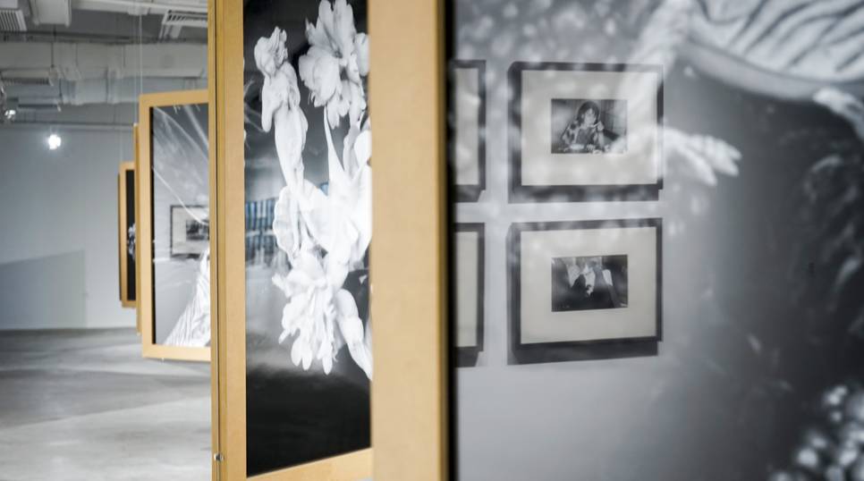 亚洲中文字幕一区精品自拍海报