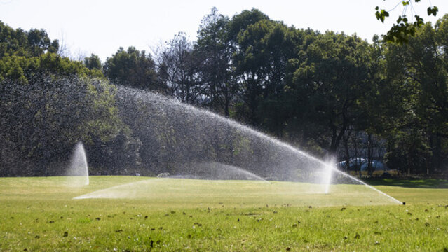 男的视频 你可以告诉我更多细节海报