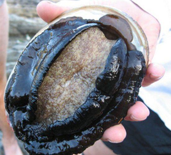 51吃瓜反差 吃瓜反差热评排行等功能