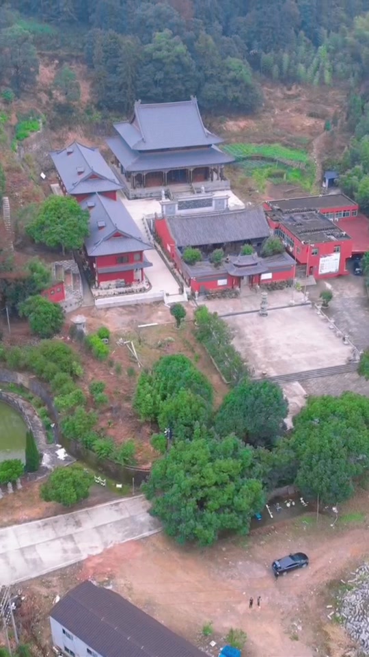 小男孩小马拉大车海报