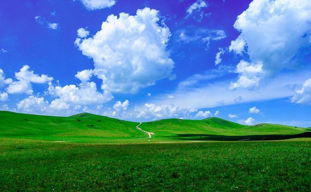 vam小马拉大车海报