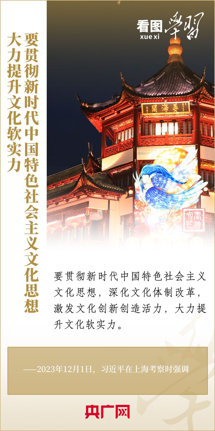 久久精品国产亚洲AV妓女不卡 坚守品质与文化自信