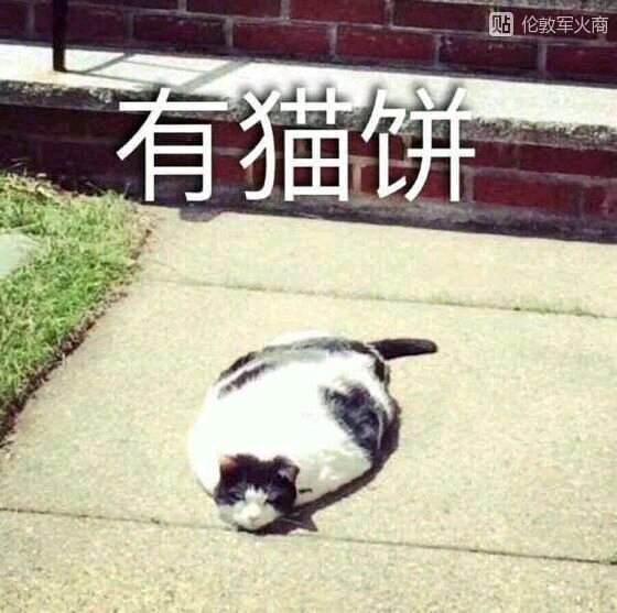 欧美阿v高清资源在钱海报