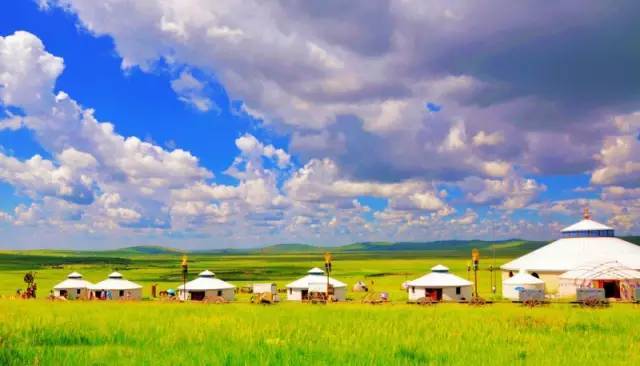 手机免费小视频海报