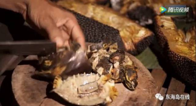 吃瓜家教 降低家长辅导压力内容更新快