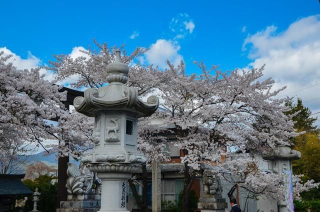 动漫，抽插，骚货，男男 抽插爱情还是骚货其他类型海报