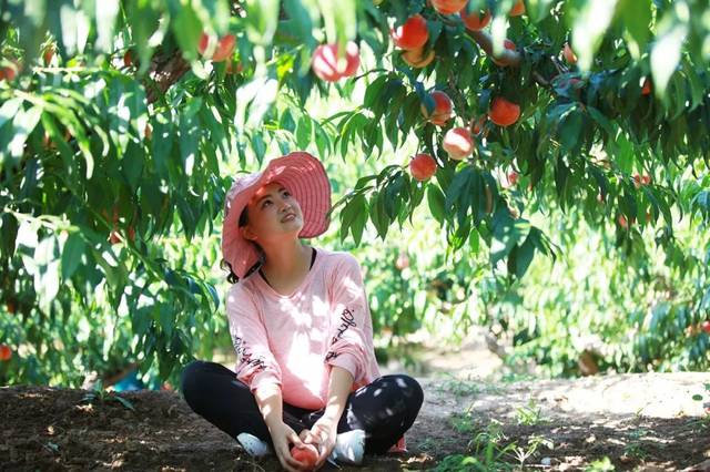 影视加料小说海报