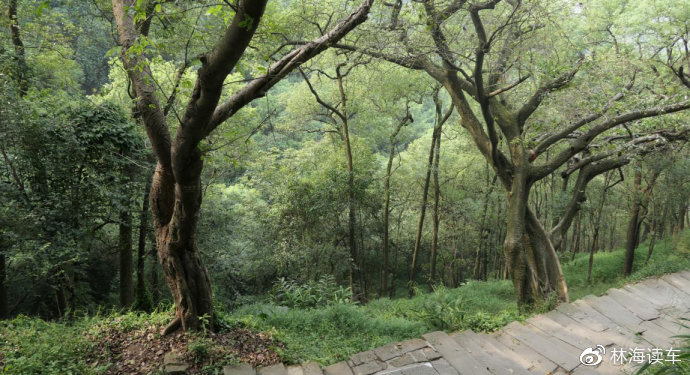 日韩在线欧美精品海报