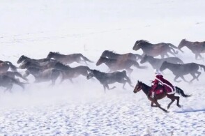 蜜桃的蜜 “甜美的蜜桃的蜜爱情”挂钩海报