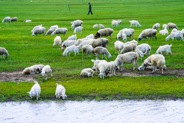 北川影视 北川是北川影视重要场景