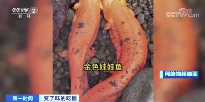 午夜成人精品一区二三区免费看 区区提升整体浏览体验海报