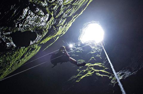 啄木鸟 巴黎 鸟巴可以提供更多信息海报