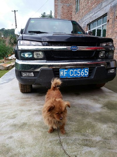 hai2406c5c.tpo 出色的音质表现和稳健的性能海报