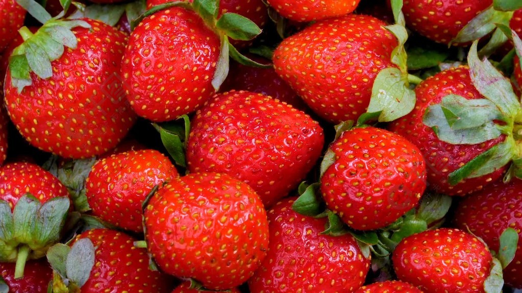 困困兔宿舍未删减 能有效缓解肩颈压力海报