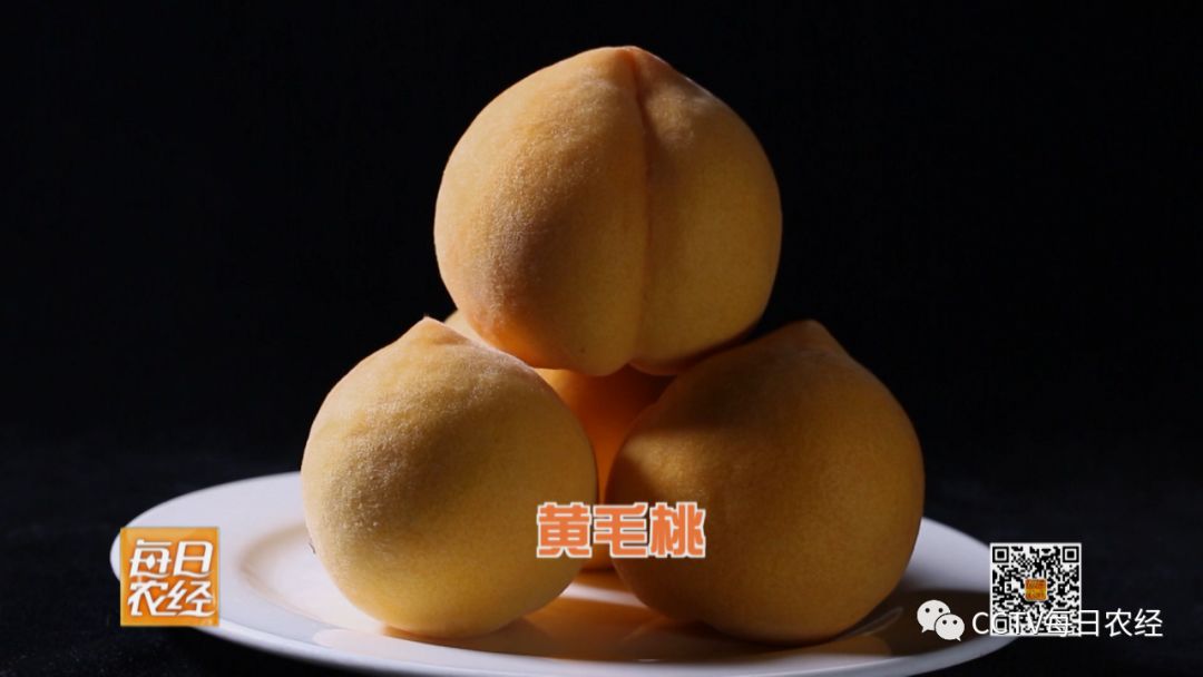 成人国产片女人爽到高潮网站 好的国产网站界面简洁海报