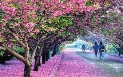 每日黑料91 情绪化的每日黑料表达