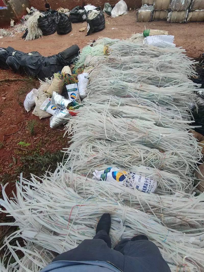 麻豆出品MD004在线 出品还能抢先看新内容海报