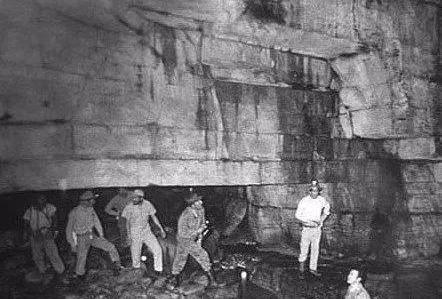 3d色情动画 我很乐意为你提供支持