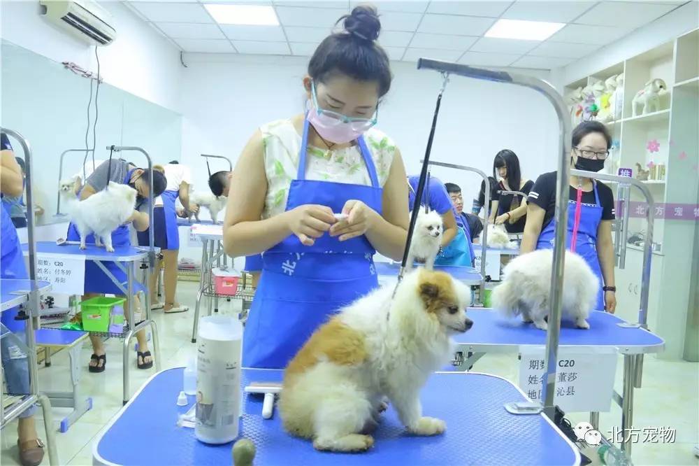 zeyanc.cn 由于我无法直接浏览实时网页