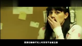 午夜福利电影海报