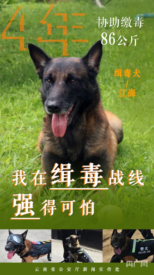 同人动漫最新 产生新的动漫叙事或情感表达