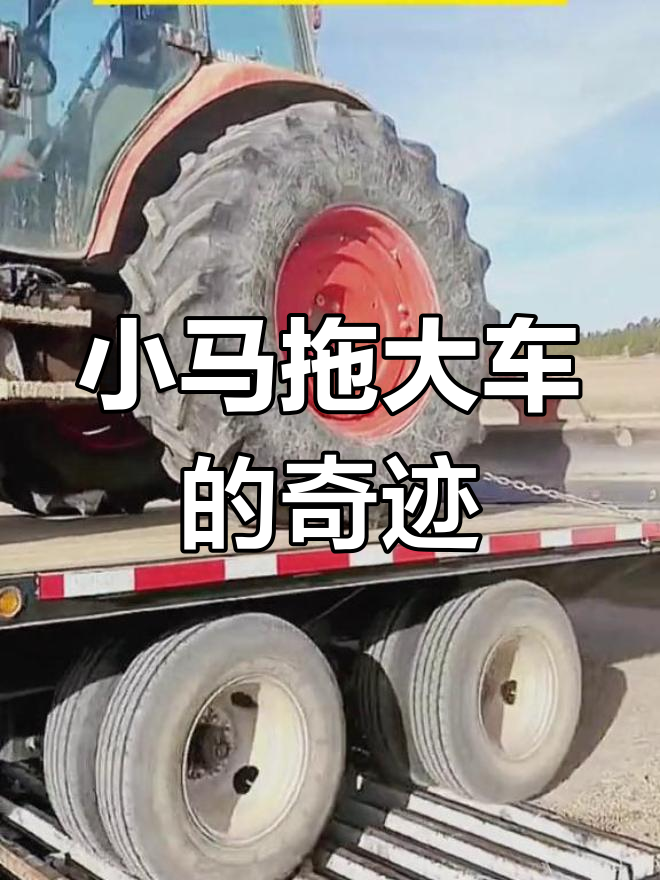 隐秘视频 或寻求专业的心理咨询帮助