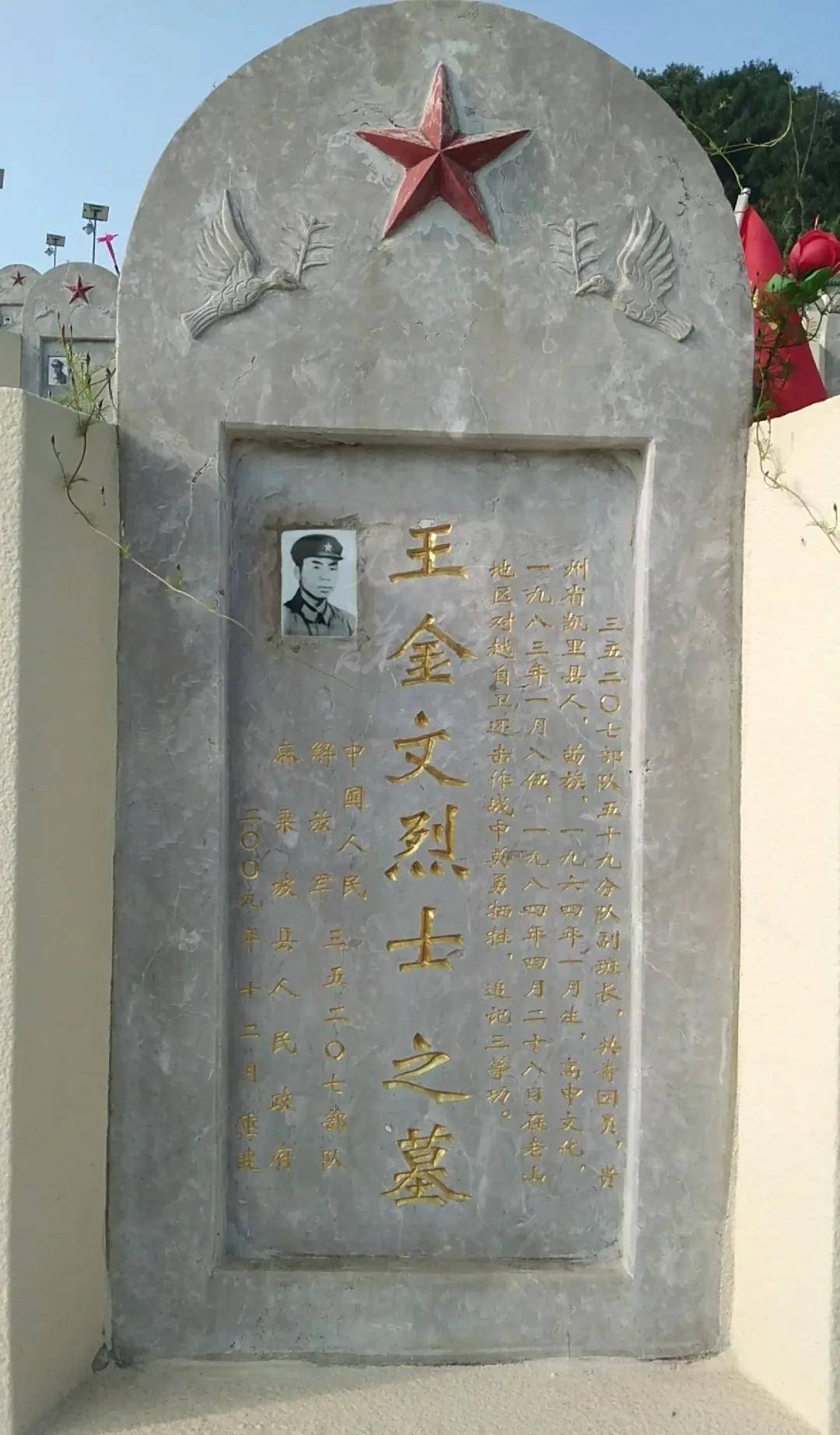 草莓视频 停留时长及互动行为海报