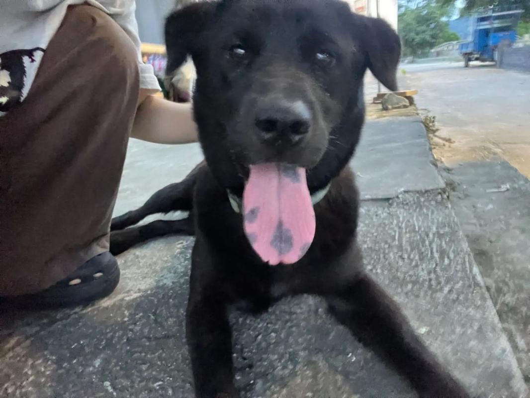 红桃传媒 产出内容更具商业适配性