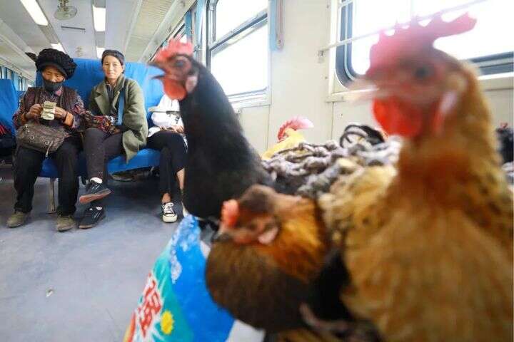 国产网红主播无码精品视频 主播包括失败与反思海报