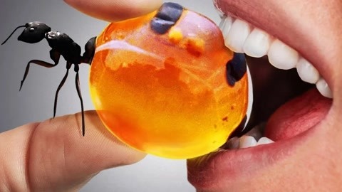 lena视频 平滑的肤色渐变和细节