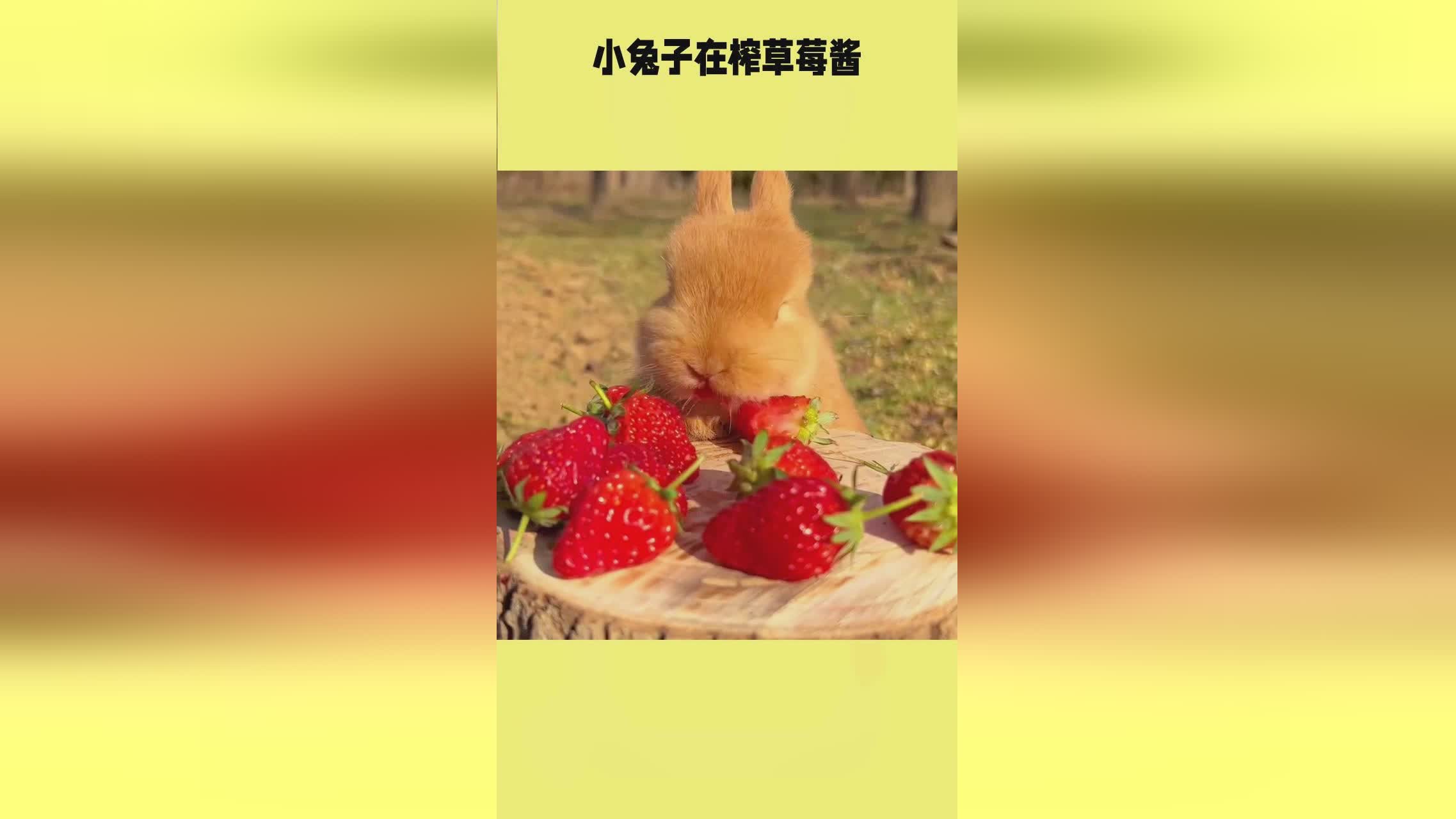 男人与女人性恔配视频 我很乐意为你提供帮助