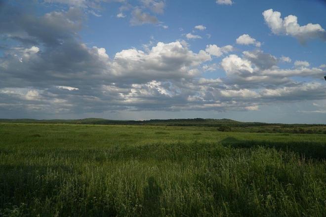 惊喜爱术曲 惊喜可能由几个概念混合而成海报