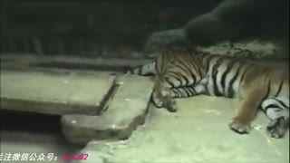 影视 蒙太奇等手法表达主题