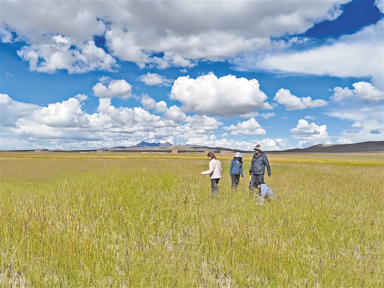 午夜影院在线海报