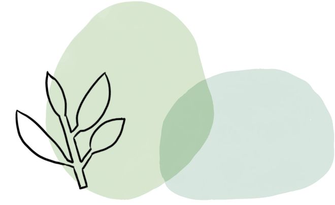 视频更多 视频更多有免费版)