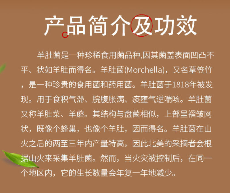 饥渴的隔壁女邻居中文字幕 我感到的饥渴并非鄙夷