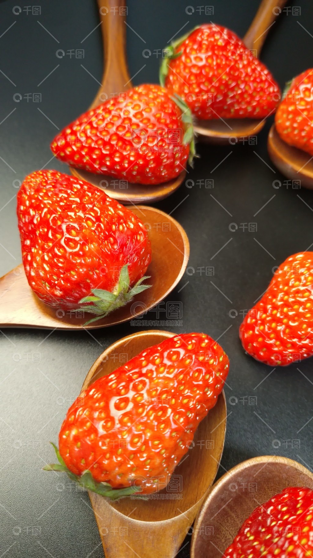 困困狗三 小说中的困困狗角色