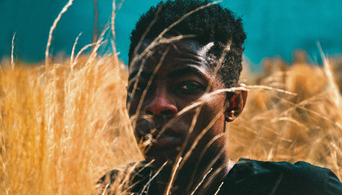 瓜老师的笔记排行 考公、瓜老资格证书考生