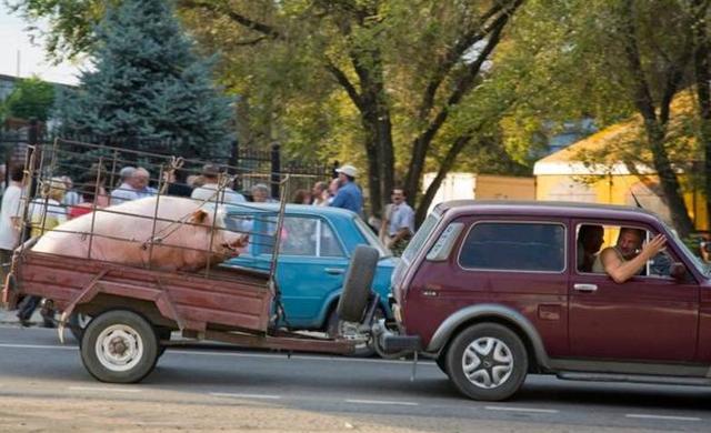 抖音风绿帽反差磁力 帽反需要道具彰显个性海报